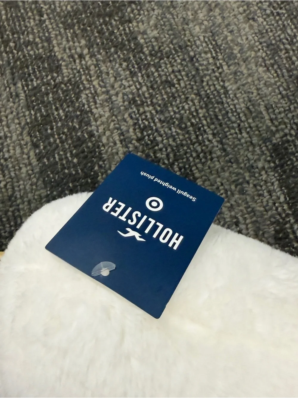 Target Pillowfort X Hollister Sam The Seagull Weighted Plush 2026 New IN HAND - Picture 4 of 4